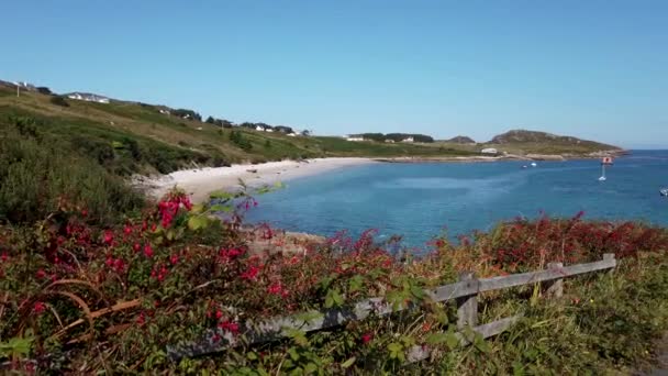 Vue Depuis Quai Stacamore Sur Île Arranmore Dans Comté Donegal — Video