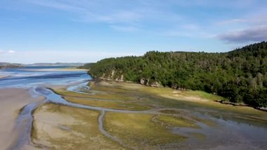İrlanda 'nın Donegal ilçesindeki Ards Forest Park' taki Tuz Bataklığı 'nın hava görüntüsü..