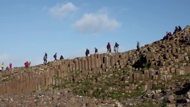 노르웨이어 아일랜드 2022 000 현무암 기둥을 사용하는 사람들 — 비디오