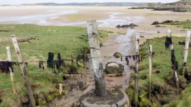 Donegal 'de Ardara ile Portnoo arasındaki Sheskinmore Doğa Koruma Alanı' ndaki Carn Sahili 'nde.