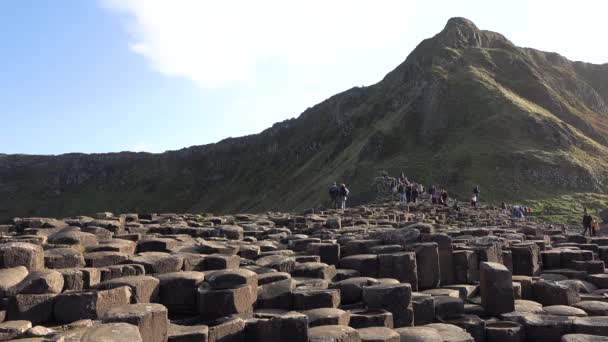 Giants Causeway 40000 Sammankopplade Basaltpelare Bushmills Nordirland Förenade Kungariket — Stockvideo