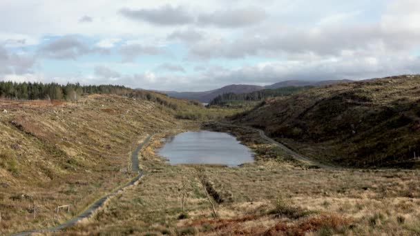 Bonny Glen Nach Der Entwaldung Und Wiederaufforstung County Donegal Irland — Stockvideo