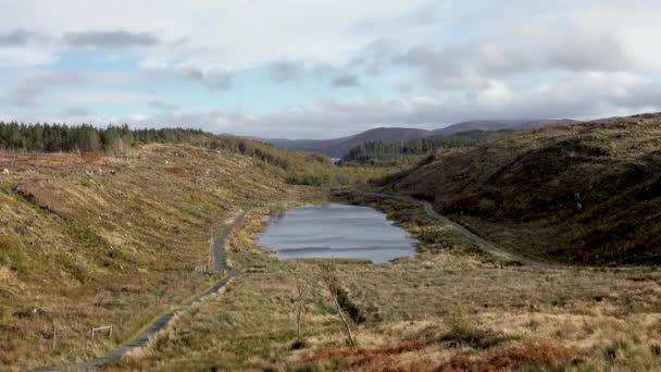 Timelapse Bonny Glen Deforestation Reforestation County Donegal Ireland — Stok Video