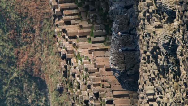 Giants Causeway 000 Birbirine Kenetlenmiş Bazalt Sütun Bushmills Tarafından Kuzey — Stok video
