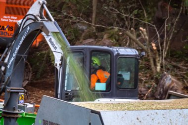 PORTNOO, CPUNTY DONEGAL, IRELAND - 19 Ekim 2022: İşçiler ağaçları, çalıları ve çalıları kesip biçiyor
