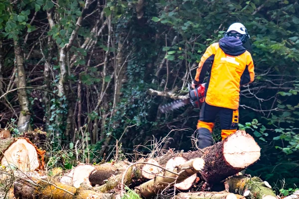 Worker Felling Shredding Trees Shrubs Bushes — Stock Photo, Image