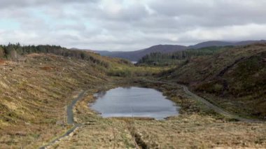 Bonny Glen, County Donegal - İrlanda 'daki ormanların tahrip ve yeniden ağaçlandırılmasından sonra