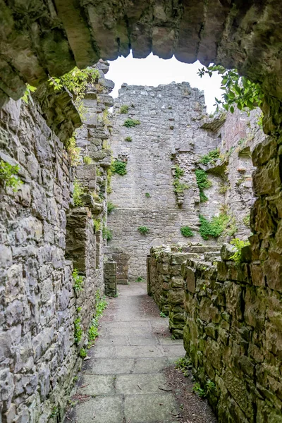 Beautiful Monea Castle Enniskillen County Fermanagh Irlanda Norte — Fotografia de Stock