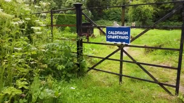 Poort Caldragh Begraafplaats Boa Island Lower Lough Erne Noord Ierland — Stockvideo