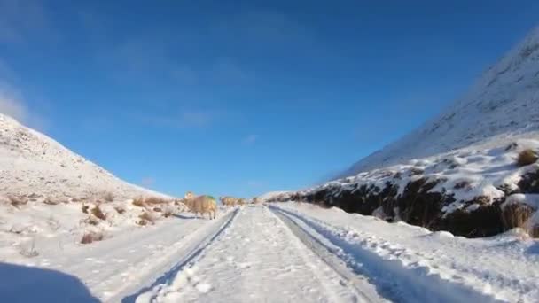Driving Snow Covered Glenveagh National Park County Donegal Republic Ireland — Stockvideo