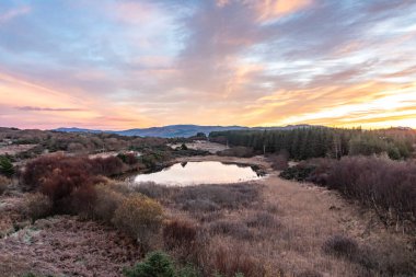 Donegal İlçesi 'nde Peatbog' un üzerinde sisli güzel bir gün doğumu.