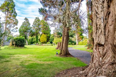 Collooney 'deki Markree Kalesi, Sligo İlçesi, İrlanda.