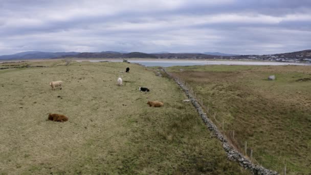 Aerial View Cowa Inishkeel Island Portnoo County Donegal Ireland — Vídeo de Stock
