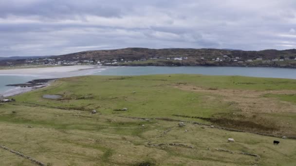 Letecký Pohled Cowa Ostrově Inishkeel Portnoo Hrabství Donegal Irsko — Stock video