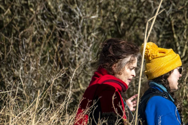 Başrollerinde Pierce Brosnan, Gabriel Byrne, Helena Bonham Carter, Fionn O Shea, Ann Skelly 'nin oynadığı 