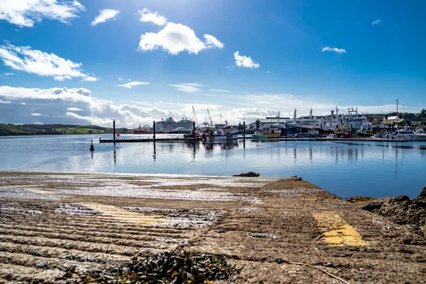Killybegs Ierland September 2022 Zeehond Rustend Pier Haven — Stockfoto