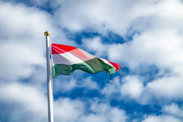 Hungarian flag or flag of Hungary waving in the wind.