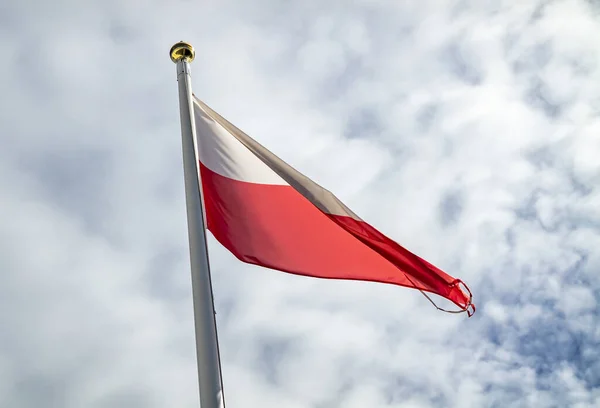 波兰在风中挥舞的旗帜 — 图库照片