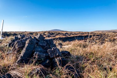 Donegal ilçesinde turba kesimi - İrlanda.