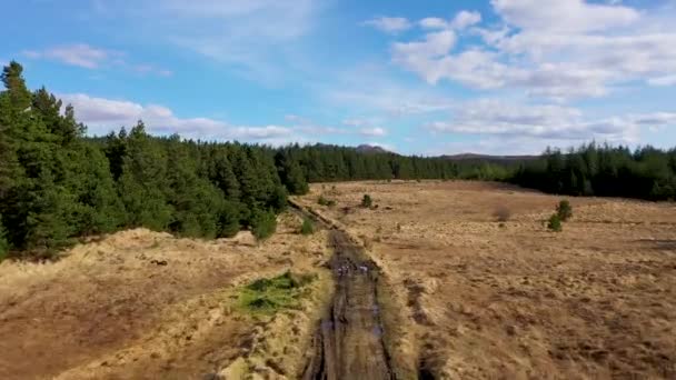 Aerial View Lough Anna Drinking Water Supply Glenties Ardara County — Stock Video