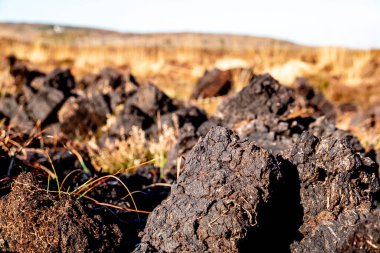 Donegal ilçesinde turba kesimi - İrlanda.