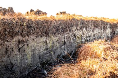 Donegal ilçesinde turba kesimi - İrlanda.