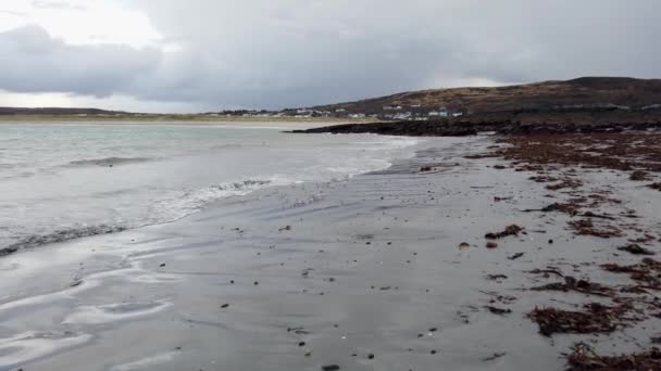 Flock Sandpiper Enjoying Beach Inishkeel Island County Donegal Ireland — Stock Video