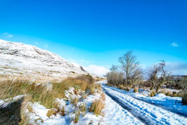 Derryveagh tahliyesinden geriye kalanlar - Nisan 1861 'de ev sahibi John George Adair, Donegal - İrlanda' dan 250 'den fazla kiracıyı tahliye etti.