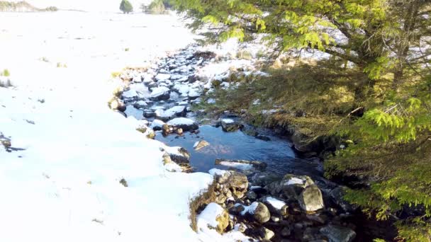 Водоспад Біля Озера Лох Барра Гленвег Національний Парк Донегал Ірландія — стокове відео