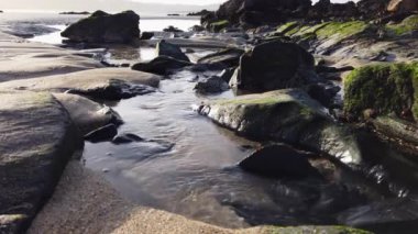 Narin Plajı 'nda Rockpool - County Donegal, İrlanda.