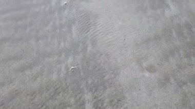 Su kabarcıkları kumlu sahilde hareket ediyor.