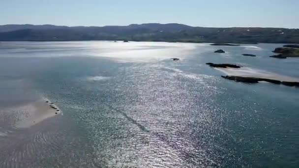 Sellos Nadando Descansando Bahía Gweebarra Condado Donegal Irlanda — Vídeo de stock
