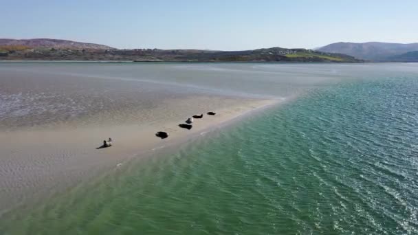Segl Svømning Hvile Ved Gweebarra Bay County Donegal Irland – Stock-video