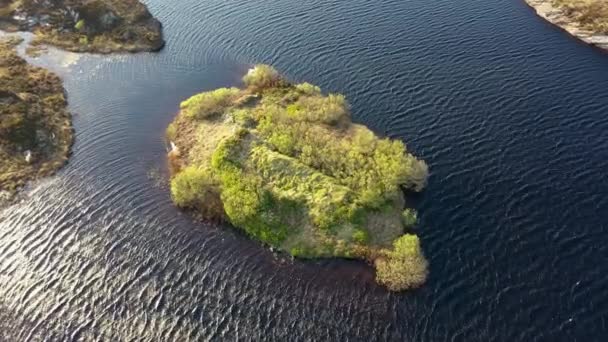 Εναέρια Άποψη Των Lough Birroge Και Ringfort Παραμένει Από Portnoo — Αρχείο Βίντεο