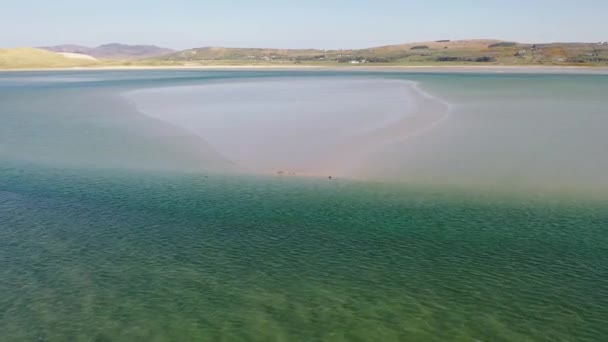 Segel Berenang Dan Dan Beristirahat Teluk Gweebarra County Donegal Irlandia — Stok Video