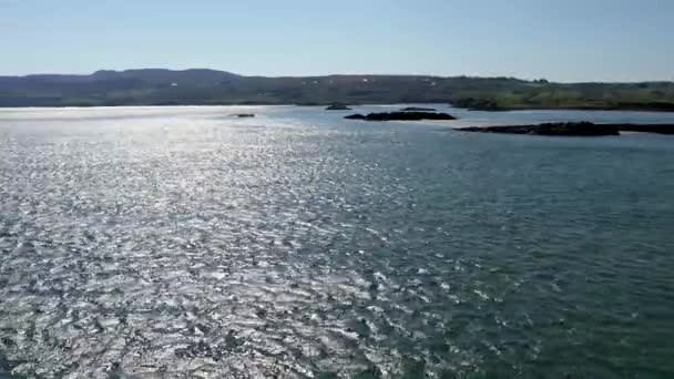 Gweebarra湾でのアザラシの泳ぎと休息 County Donegal Ireland — ストック動画
