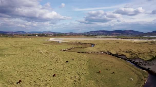 Dunas Incríveis Baía Sheskinmore Entre Ardara Portnoo Donegal Irlanda — Vídeo de Stock