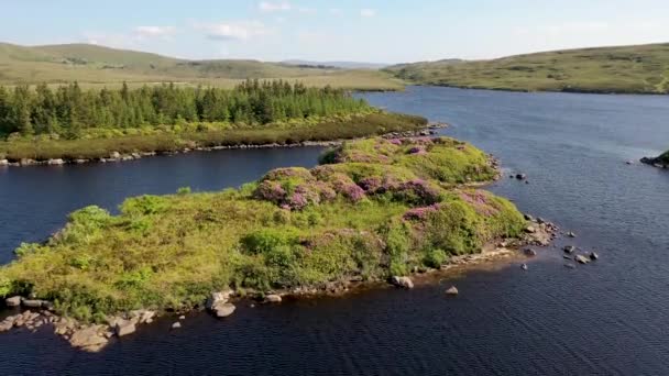 Aereal Island Lough Craghy Dungloe County Donegal Ιρλανδία — Αρχείο Βίντεο