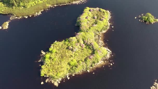 Aereal Island Lough Craghy Dungloe County Donegal Ιρλανδία — Αρχείο Βίντεο