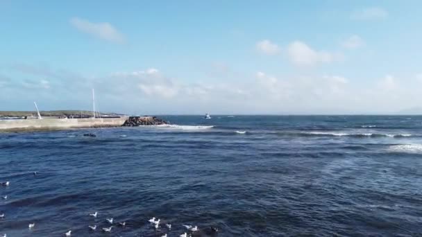 抵达爱尔兰Donegal县托里岛的渡船 — 图库视频影像