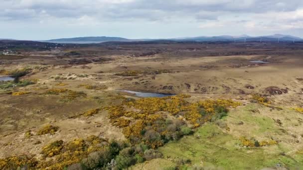 Donegal Ardara Portnoo Arasındaki Sandfield Bölgesinin Havadan Görüntüsü Rlanda — Stok video