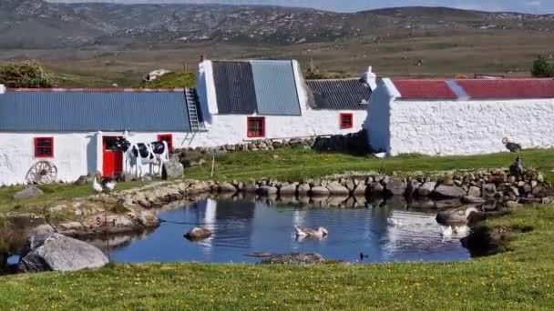 Typisches Irisches Ferienhaus County Donegal Irland — Stockvideo