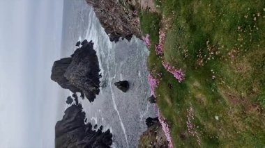 Malin Head 'deki deniz kayalıkları ve istifleri. İrlanda 'nın en kuzeyindeki nokta..