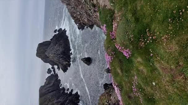 海崖和马林海角的堆栈爱尔兰的最北端 — 图库视频影像