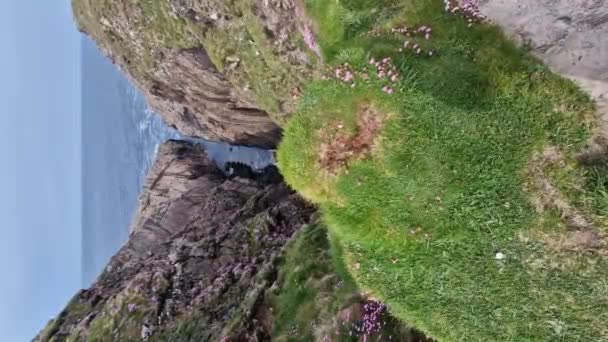 Mořské Útesy Hromady Malin Head Nejsevernější Bod Irsku — Stock video