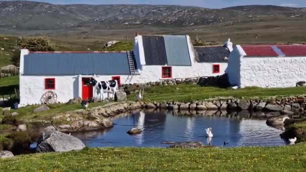 Tipico Cottage Irlandese Nella Contea Donegal Irlanda — Video Stock