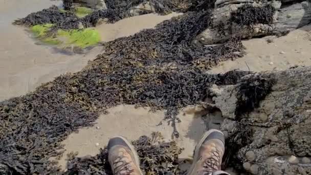 Ballinareava Strand Rezerwacie Przyrody Sheskinmore Między Ardarą Portnoo Donegal Irlandia — Wideo stockowe