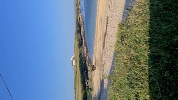 Mucca Alla Spiaggia Johns Point Nella Contea Donegal Irlanda — Video Stock