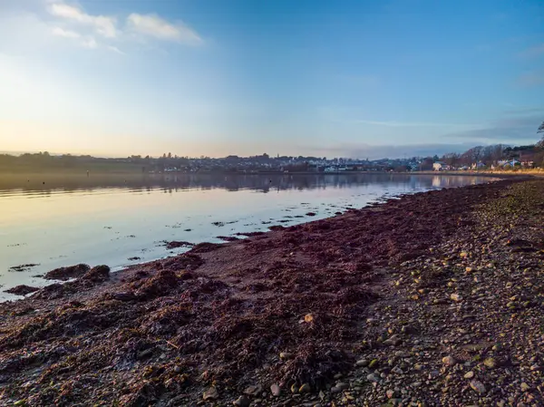 Beautiful Evening River Bank River Foyle Culmore Point Derry Londonderry — Stock Photo, Image