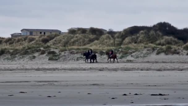 アイルランド ドニゴール州ポートヌスでナリンビーチに乗る馬 — ストック動画